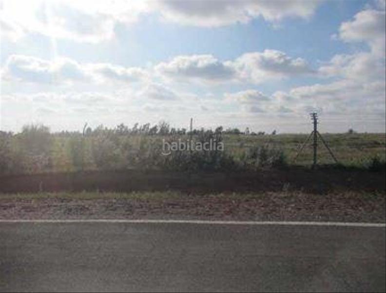 Foto dd37a8a1-5173-4f53-bfc9-18d6d391eb71. Landgut in Niebla