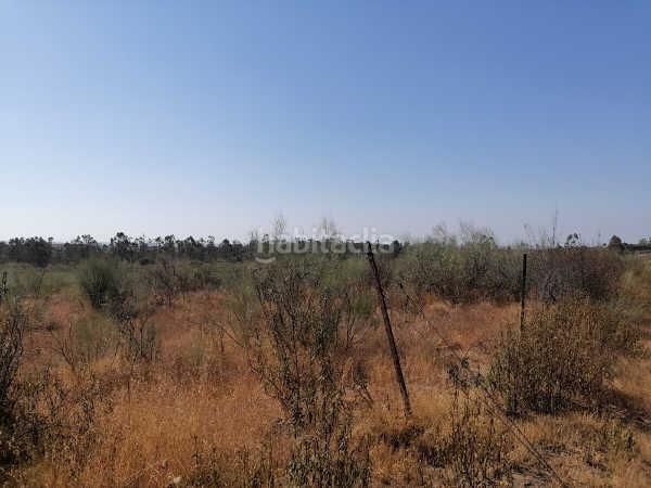 Foto 1334ff57-50a5-4efd-8647-10a89dff998f. Finca rústica a Niebla