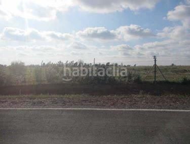 Foto 5870dca1-2344-43d7-a0a0-4a7d871a0bcb. Finca rústica a Niebla