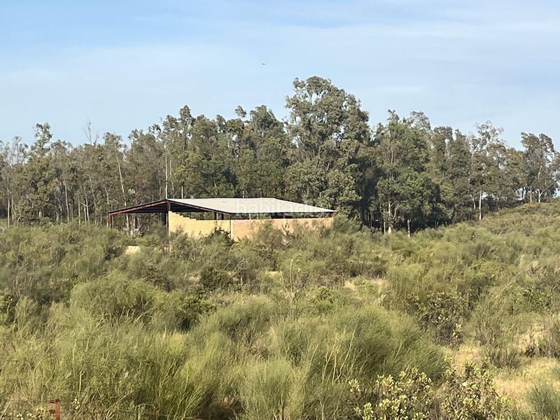 Foto 71e65edf-7b38-435d-8363-5b9c3d553b25. Finca rústica a Niebla