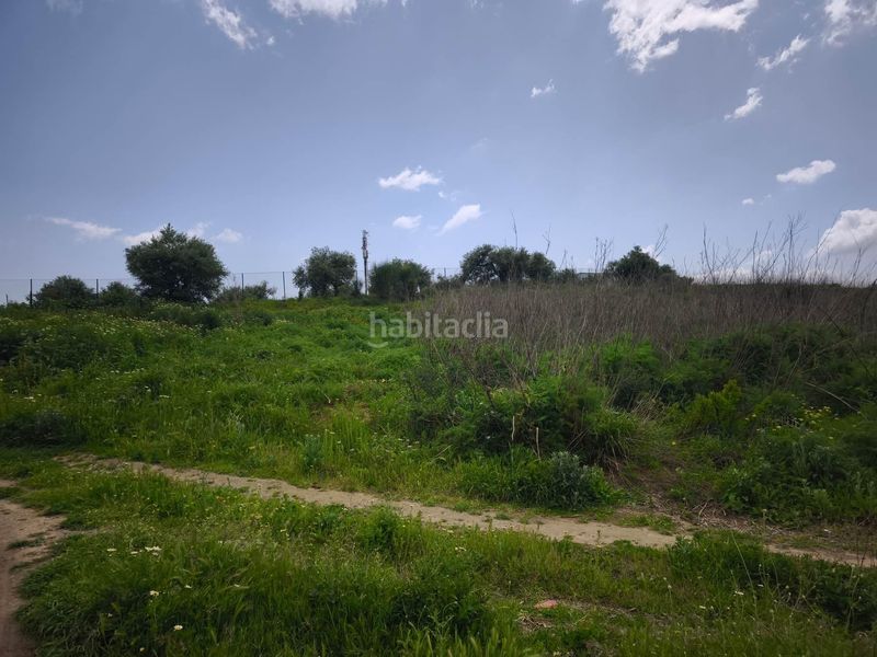 Foto 4ee4aba2-21e4-453d-b899-0c29bb3d1653. Finca rústica a Arcos de la Frontera