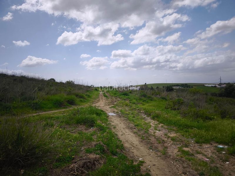 Foto b77a9363-072a-4415-aab0-e85813fbb05f. Finca rústica a Arcos de la Frontera