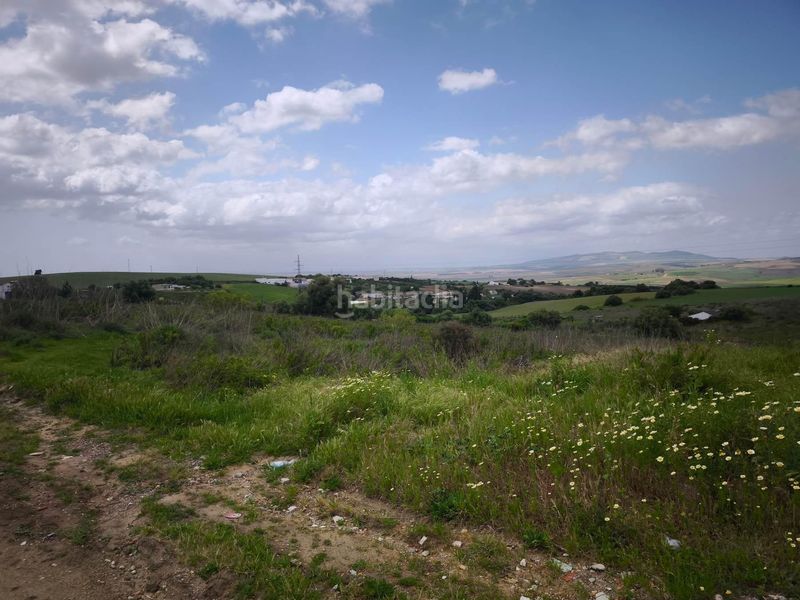 Foto bac0ceb6-197c-47be-84f6-553c5a4c1d6b. Finca rústica a Arcos de la Frontera