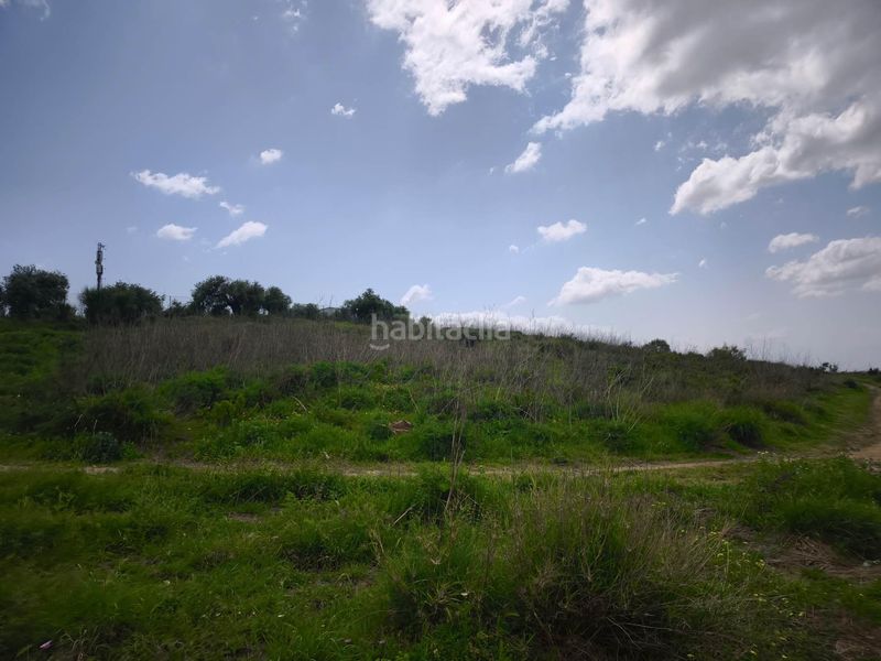 Foto c01832e1-b767-440d-b8d5-1c8021fea7ef. Finca rústica a Arcos de la Frontera