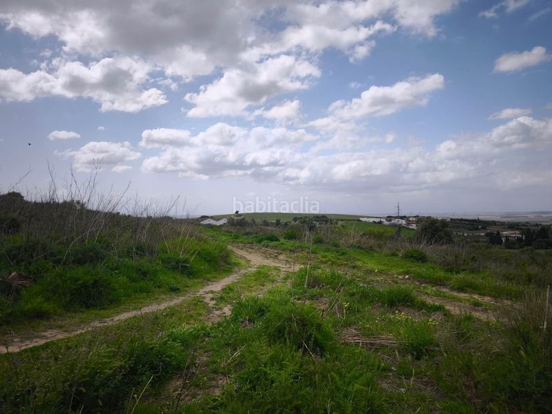 Foto d5fb3b1f-2625-45d2-8d66-edfb40bb6391. Finca rústica a Arcos de la Frontera