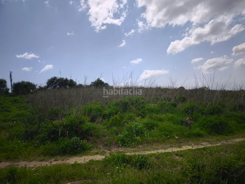 Foto dc81187e-5838-46c0-869b-9b9daaaa1cab. Finca rústica a Arcos de la Frontera