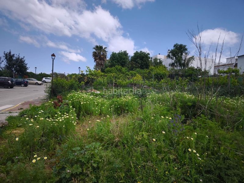 Foto ffe93ca2-2448-4804-a9d9-ab37491de47e. Finca rústica a Arcos de la Frontera