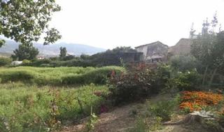 Finca rústica a Algodonales. Terreno urbano no consolidado en venta  oportunidad de inversión