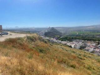Finca rústica a Arcos de la Frontera. Gran terreno urbanizable en transformación  inversión en arcos d