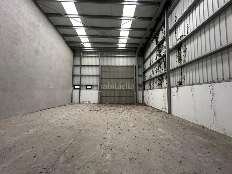 Foto b3c586bc-8075-44f0-b509-39f80f3d8fc3. Capannone industriale in Muskiz