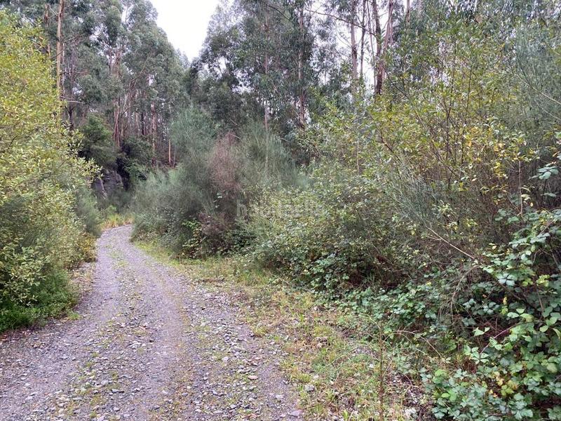 Foto b59b37aa-6abe-41b9-831a-c9f4fe0e7e83. Terrain résidentiel dans lugar domaio-carballido p 197 dans Moaña