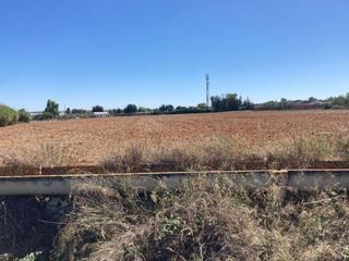 Finca rústica a Caballero Bonald-S. José Obrero-Guadalcacín. Terreno urbanizable en transformación  abiertas de caulina, jere