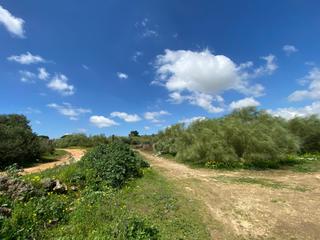 Finca rústica a El Juncal - Vallealto. Terreno no urbanizable en venta  zona del casino, el puerto de s