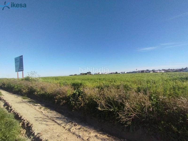 Foto 2d04e464-20ab-4266-ba81-d118e0a2918b. Finca rústica venta de suelo , huelva. en Almonte Almonte