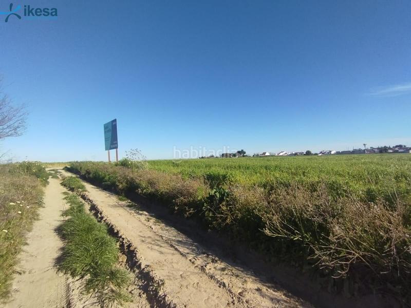 Foto 3afe5692-4314-4361-914a-cf1fb599ca9f. Finca rústica venta de suelo , huelva. en Almonte Almonte