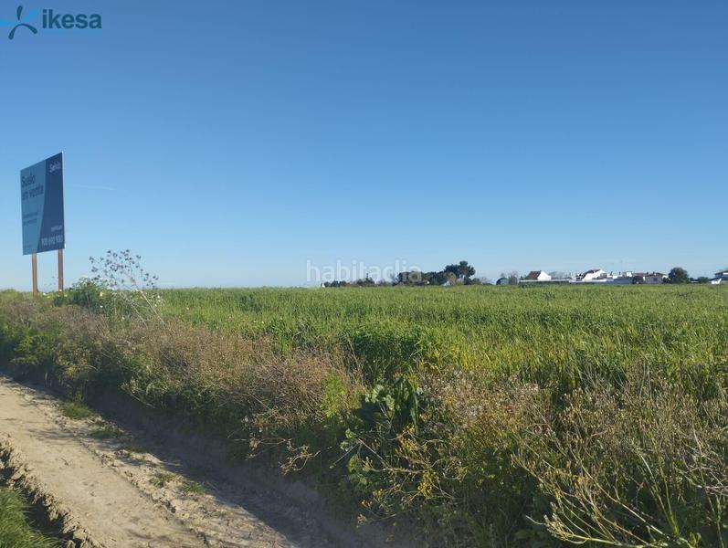 Foto 4425223f-19b6-40c3-bfc6-d78144d36d0a. Finca rústica venta de suelo , huelva. en Almonte Almonte