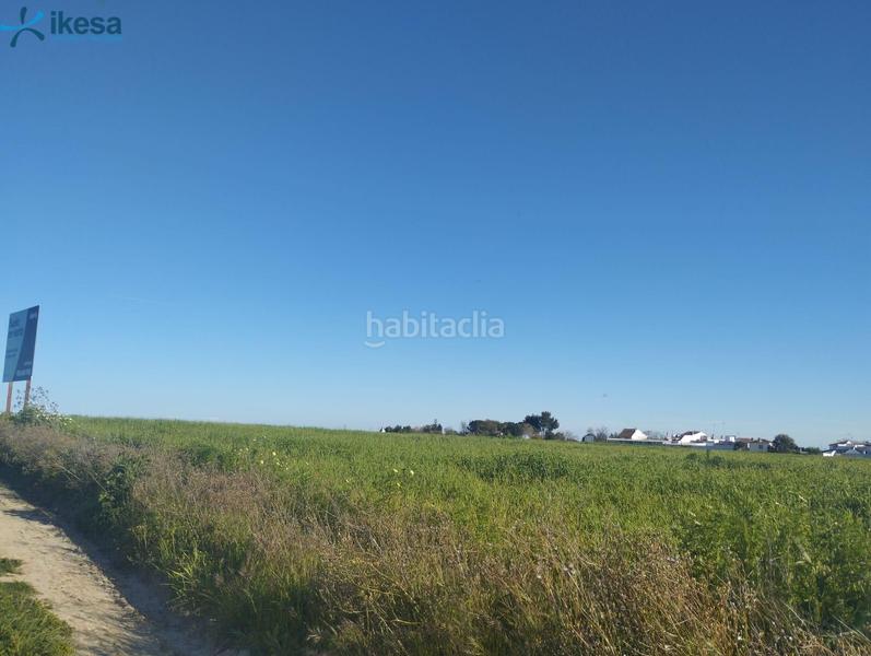 Foto 48d3a95b-e187-4ed0-b456-47e2af2532a2. Finca rústica venta de suelo , huelva. en Almonte Almonte