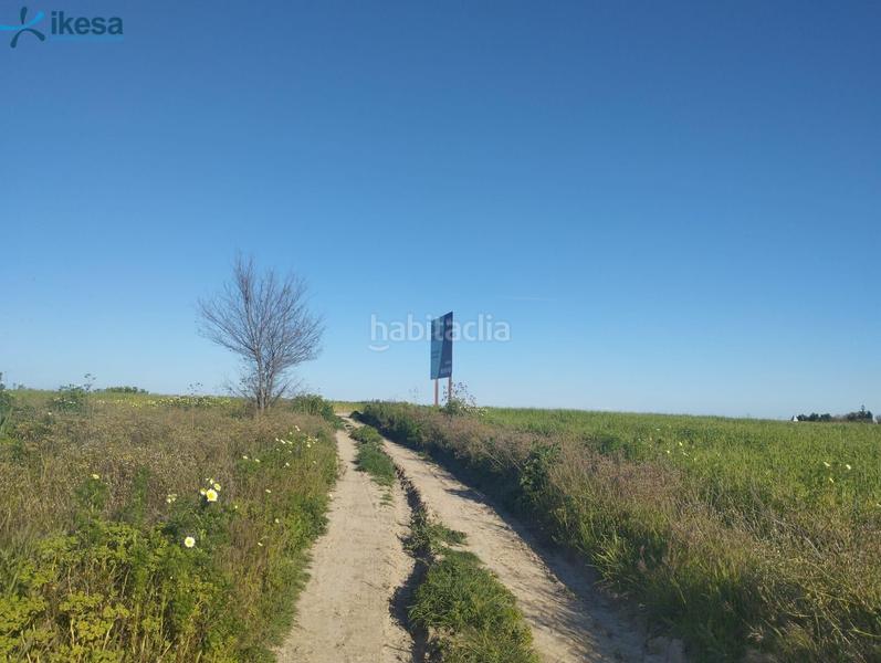 Foto 67620313-57ca-4c7a-a379-22826528ab29. Finca rústica venta de suelo , huelva. en Almonte Almonte