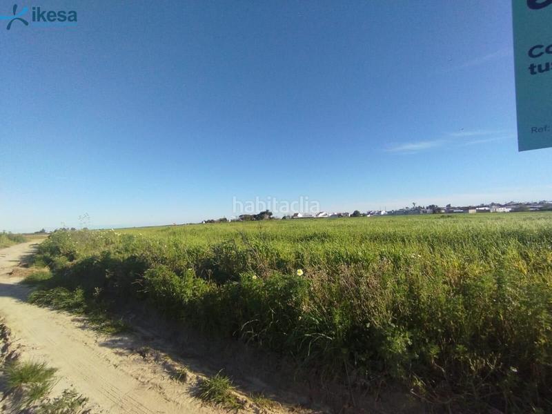 Foto 697deecc-3488-49e7-9991-f62c1fea907e. Finca rústica venta de suelo , huelva. en Almonte Almonte