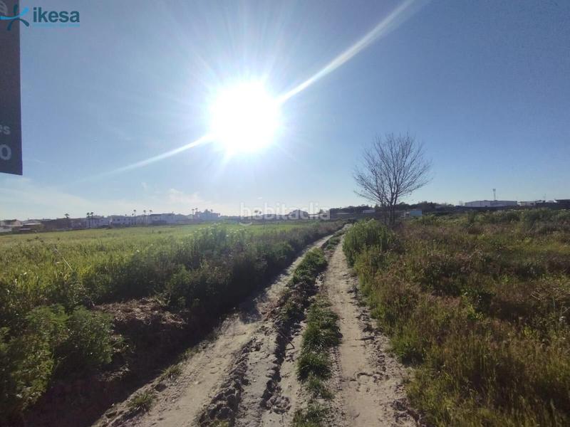 Foto 7260685e-a03d-439a-a3df-3db61fe76ded. Finca rústica venta de suelo , huelva. en Almonte Almonte