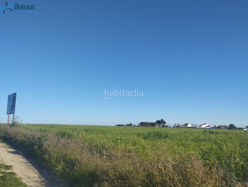 Foto 954b2846-49ba-4150-9741-0c6a7c375a44. Finca rústica venta de suelo , huelva. en Almonte Almonte