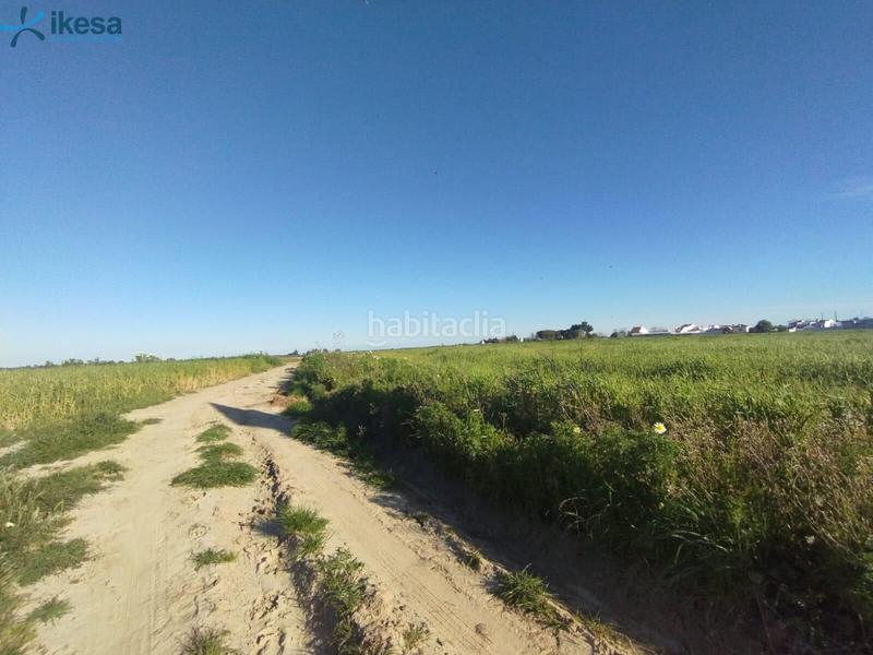 Foto 97f5f4e5-f58e-4155-8c58-c720fe372419. Finca rústica venta de suelo , huelva. en Almonte Almonte