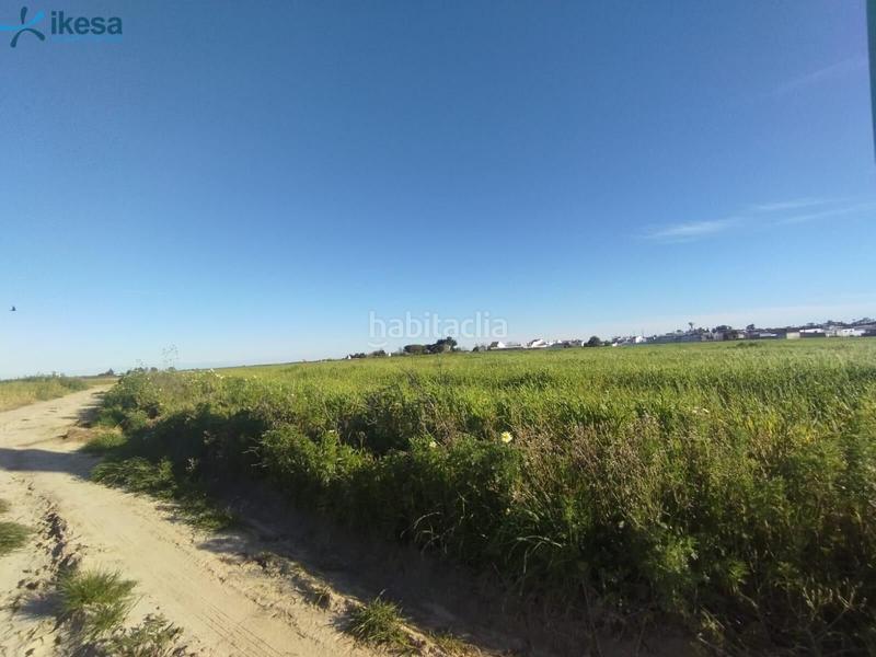 Foto ba0933ef-4db8-43ed-8d32-6a5929514750. Finca rústica venta de suelo , huelva. en Almonte Almonte