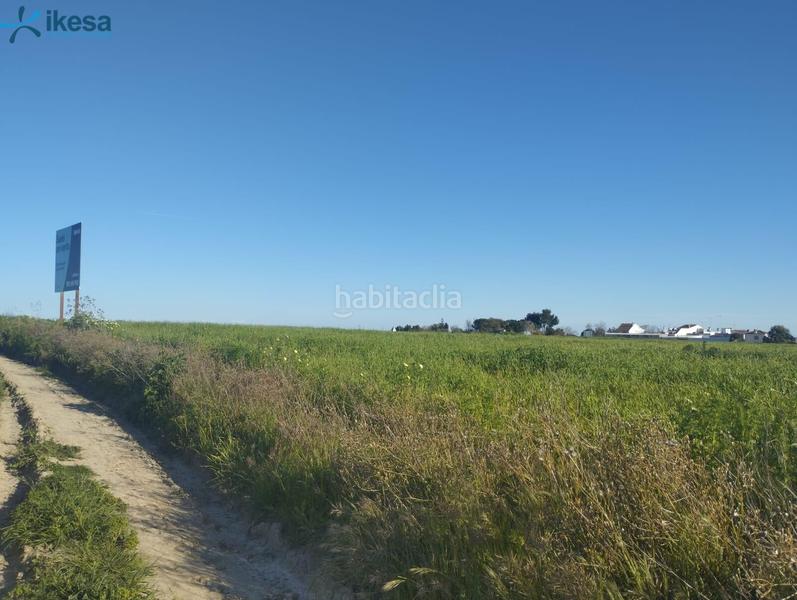 Foto bc45f0a0-4784-4028-a103-db52dcf98420. Finca rústica venta de suelo , huelva. en Almonte Almonte