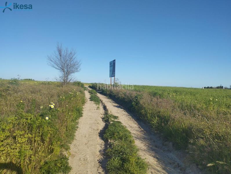 Foto d8ea2789-14c7-4481-908c-3132d63d3838. Finca rústica venta de suelo , huelva. en Almonte Almonte