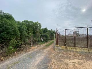 Finca rústica a Las Tres Piedras - Costa Ballena. Terrenos rústicos en venta  las tres piedras, chipiona