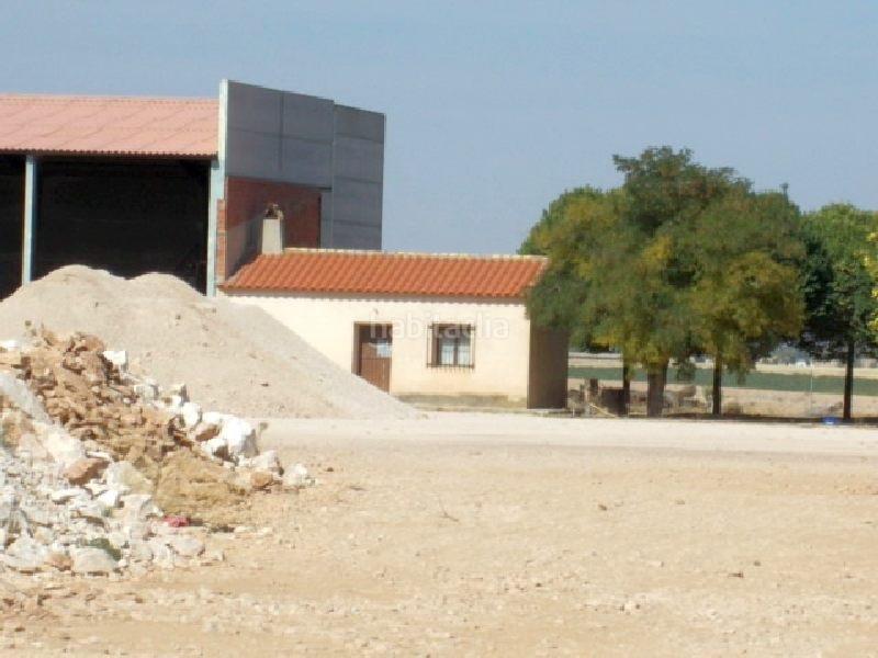 Foto f721396c-85d0-4420-ae25-61cb25d8b642. Rural plot in Daimiel