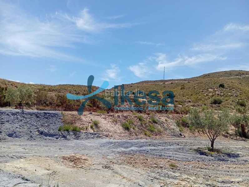Foto e9e7b11e-b18a-4706-ad5b-31d41ce5e2db. Finca rústica a Lucainena de las Torres