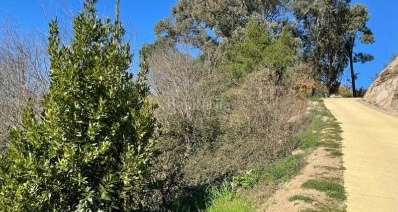 Foto 32de56d5-caed-469b-921d-9e512e14e600. Rural plot in camino de los franciscanos in San Francisco Ourense