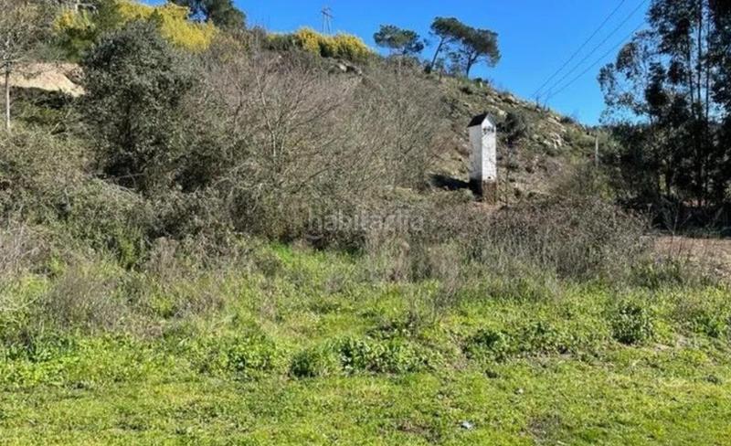 Foto bccfa388-39e2-49fe-8063-f55b12c8e34d. Rural plot in camino de los franciscanos in San Francisco Ourense