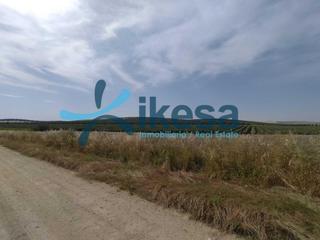 Finca rústica a Carpio (El). Se venden dos fincas juntas oportunidad única en el carpio  maru