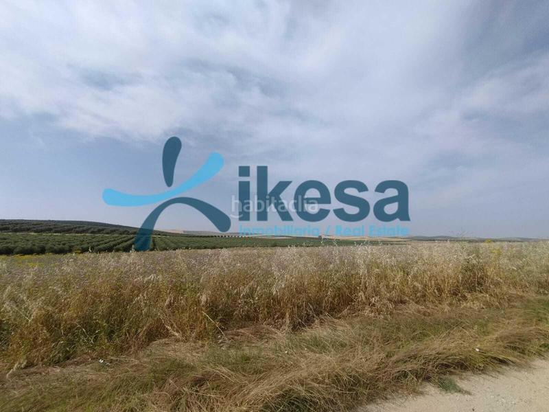 Foto 2c0b5f93-8468-406d-8c73-9cac6d27fc45. Fondo rustico in Carpio (El)