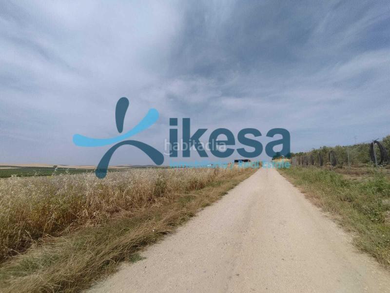 Foto 646935a9-3473-49e4-b929-581693b210b8. Fondo rustico in Carpio (El)