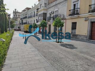 Pis a Casco Antiguo