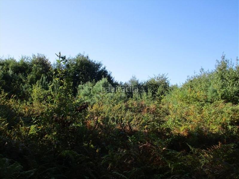 Foto a04b4b60-486e-4895-b5f1-1e37eff9bc0b. Terreno residenziale in carretera cons-mourente in Pontevedra