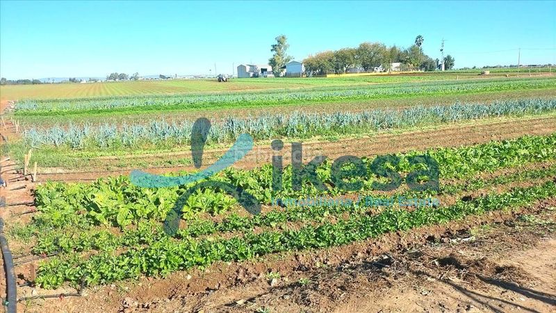 Foto 6d7e53c9-2e3a-47e4-9aba-432f3afff1df. Finca rústica a Valdezorras - El Gordillo Sevilla