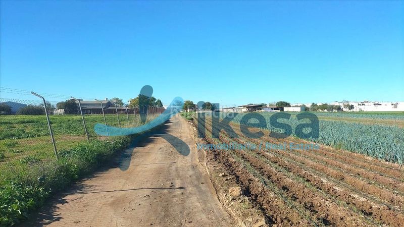 Foto 9d7f672f-9d29-4682-b2ab-a35a4b432f3e. Finca rústica a Valdezorras - El Gordillo Sevilla