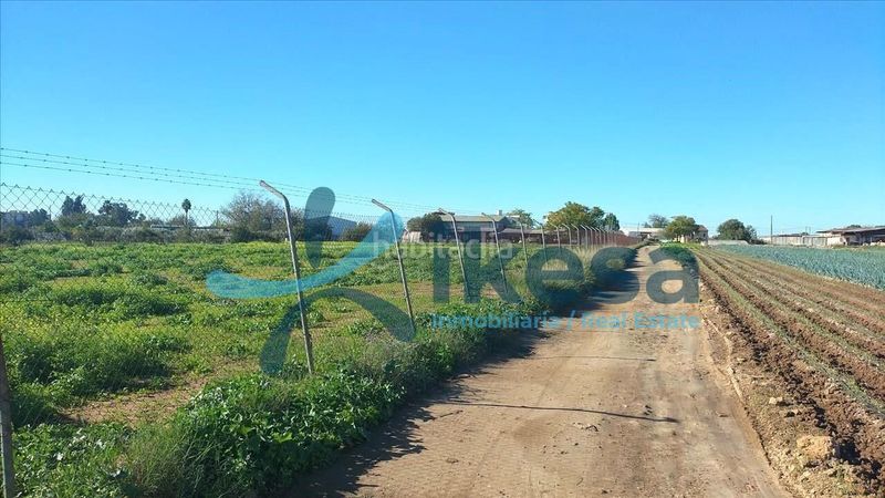Foto dcba7e28-5e81-448c-a0ba-a0afb78116da. Finca rústica a Valdezorras - El Gordillo Sevilla