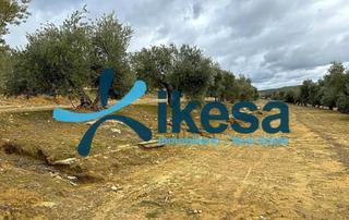 Finca rústica a Lupión