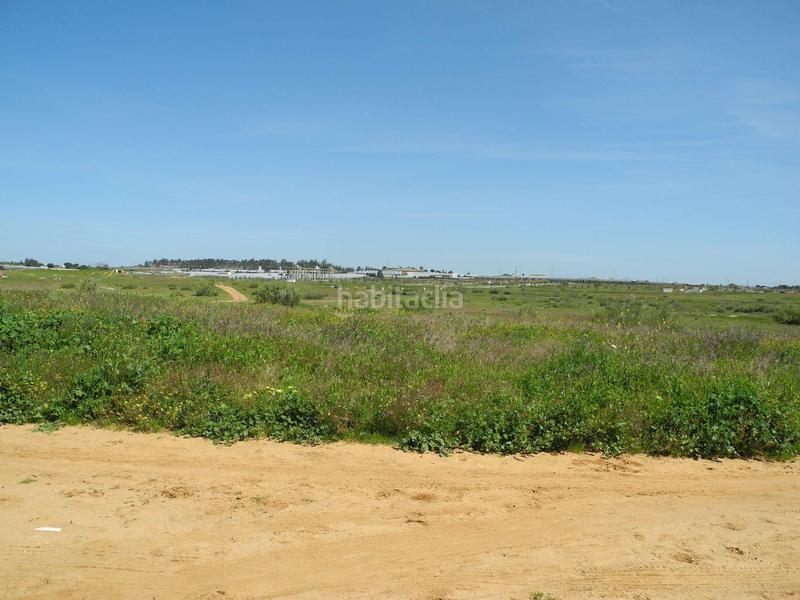 Foto 0bf4a6b2-8d7e-4ea7-aa51-d76aa0a874df. Terreno residenziale in Lepe