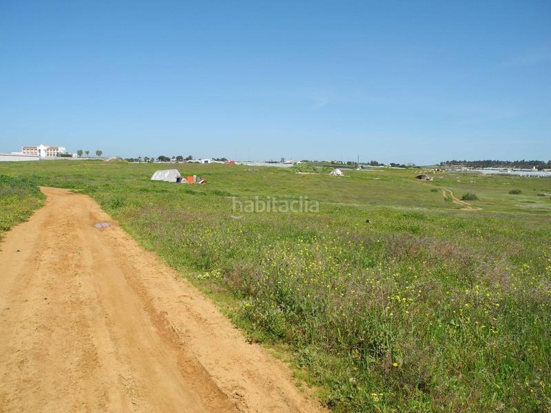 Foto 1785fb6a-501b-4018-8226-e2511460bd60. Terreno residenziale in Lepe