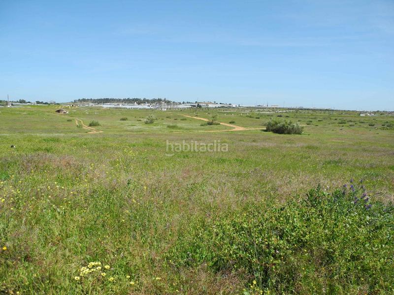 Foto 234037f8-d9f9-4280-80e7-47c403baa097. Terreno residenziale in Lepe