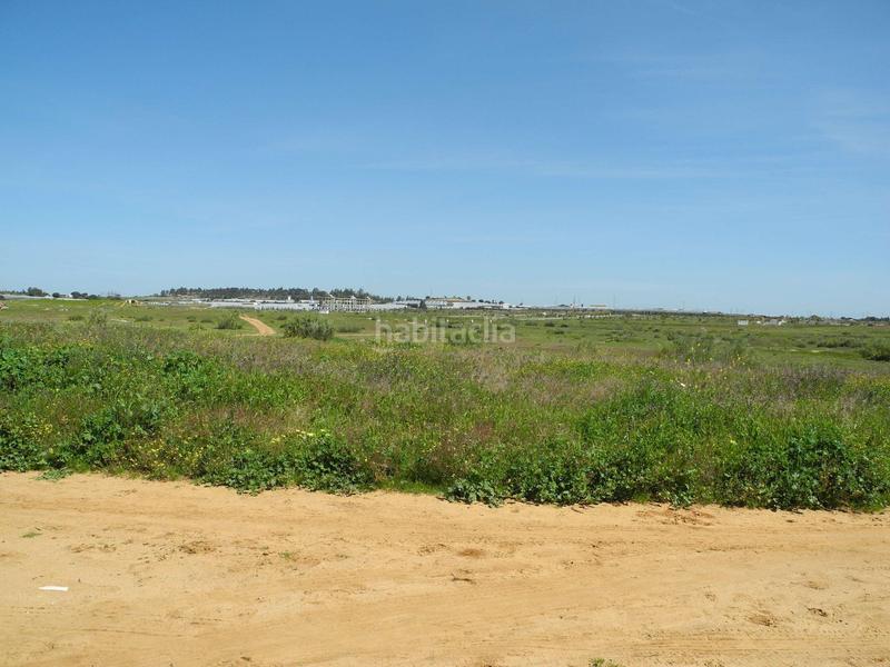 Foto 451aa483-3cb6-43fb-901b-b100666c1b47. Terreno residenziale in Lepe