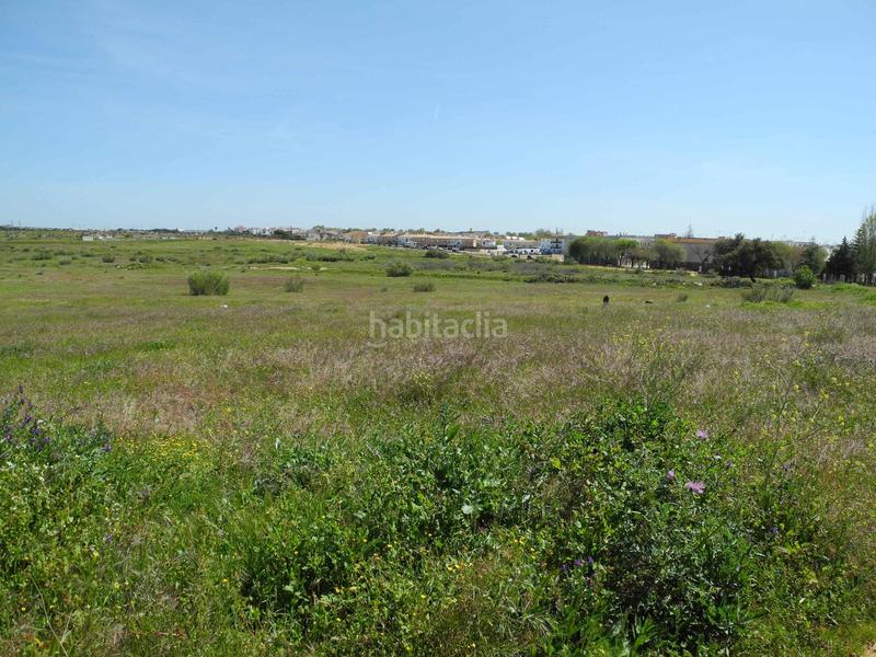 Foto bb3c2592-96b4-4bd4-b12f-0b95dbba5004. Terreno residenziale in Lepe
