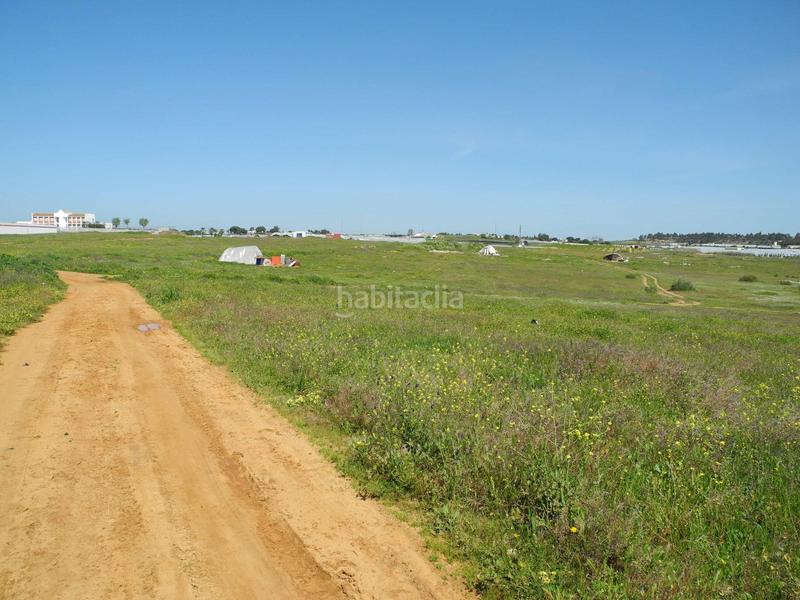 Foto c0b39034-1b0c-4292-aa8a-f818bd959101. Terreno residenziale in Lepe