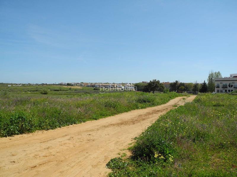 Foto d83609d2-4309-4c5f-b457-3750c154f896. Terreno residenziale in Lepe